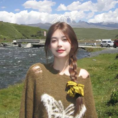 黑狐2011